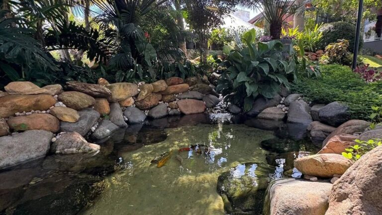 IMG_2536-38494c72-1920w